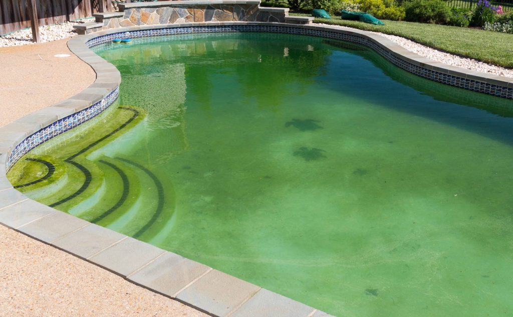 Pool Green