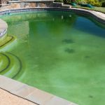 Pool Green
