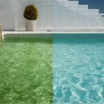Pool Algae