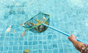 Pool Cleaning Services